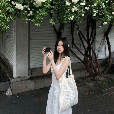狗狗的疯狂假期